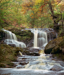 'Autumn at Thomason Foss'