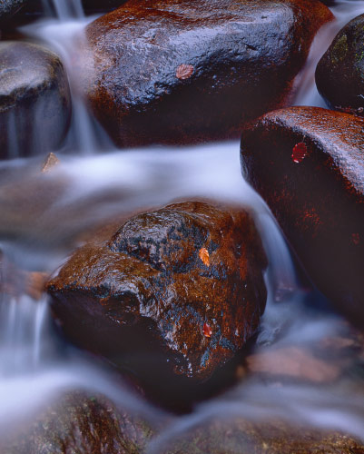 'Red Rock Stream'
