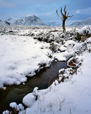 'Rannoch Moor'