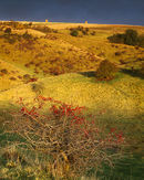 'Storm at Dawn over Scoar Dale'