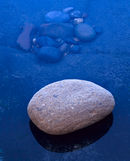 'Mulgrave Detail #4'