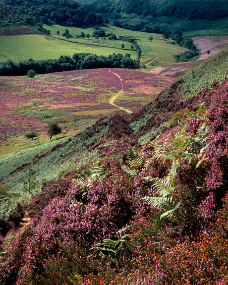 'The Hole of Horcum'