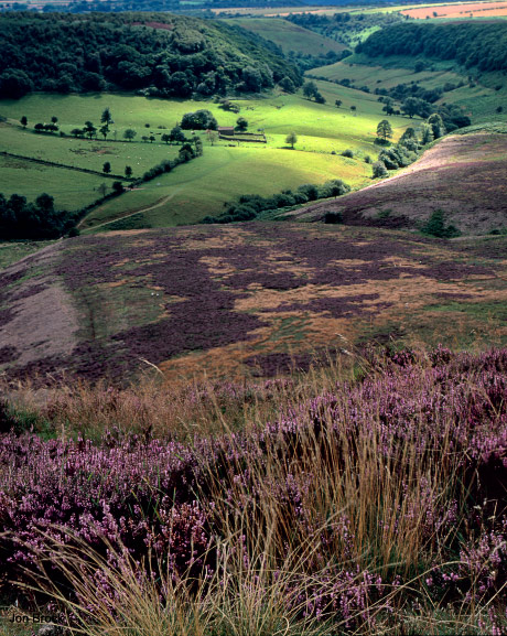 'Spotlight on Horcum'