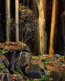 'The Quarry'