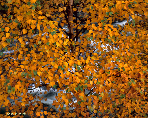 'Autumn in the Lakes'