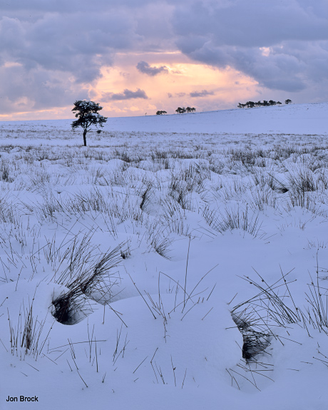 'May Beck Dawn'