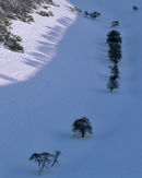 'Sylvan Dale in the Winter'