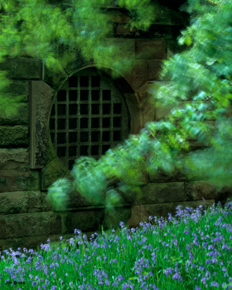 'Through the round window'