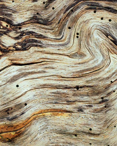 'Wave I'
