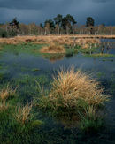'A Storm over Skipwith'