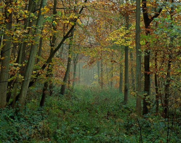 'Wolds Tunnel'