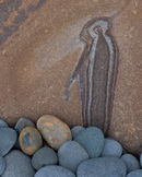 'Abstract #7 Mulgrave Creation'