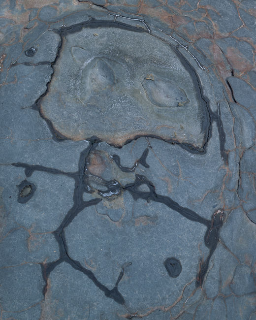 'Abstract #10 Mulgrave Alien II'