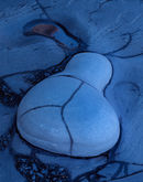'Mulgrave Detail #2'