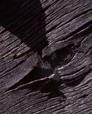 'Abstract #9 Mulgrave'