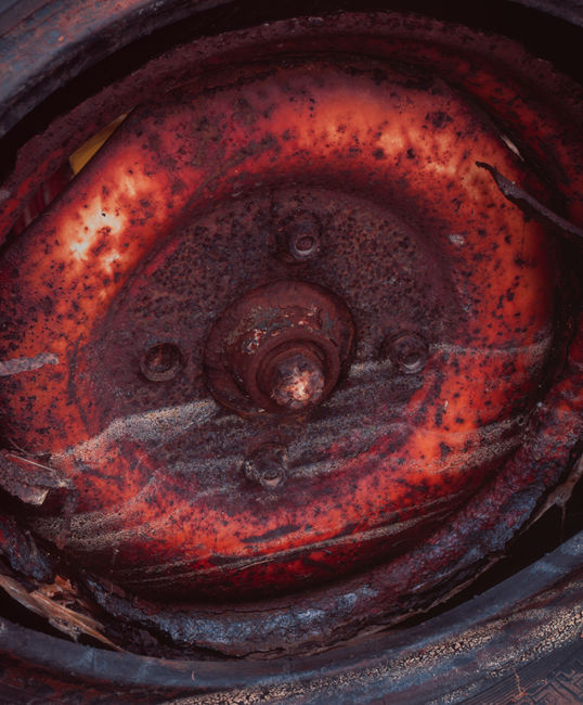 'Mulgrave Detail #10'