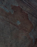 'Abstract #11 Mulgrave Bear'