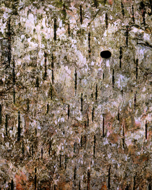 'Dot in the landscape'