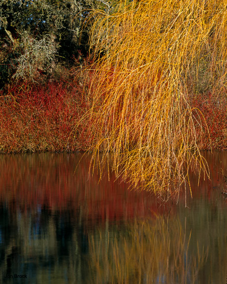 'Warter Village Pond'