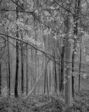 S 2015 04 25 0012 hull-copy