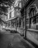 'The white hart’