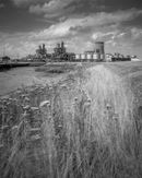 'BP facility at Paull’