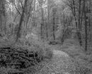S 2016 11 06 0026 untitled-shoot-copy