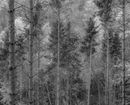 S 2016 11 06 0048 untitled-shoot-copy