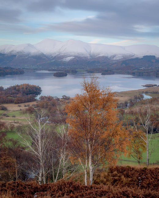 'Derwent water'