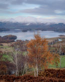 'Derwent water'