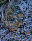 Frosted Rocks