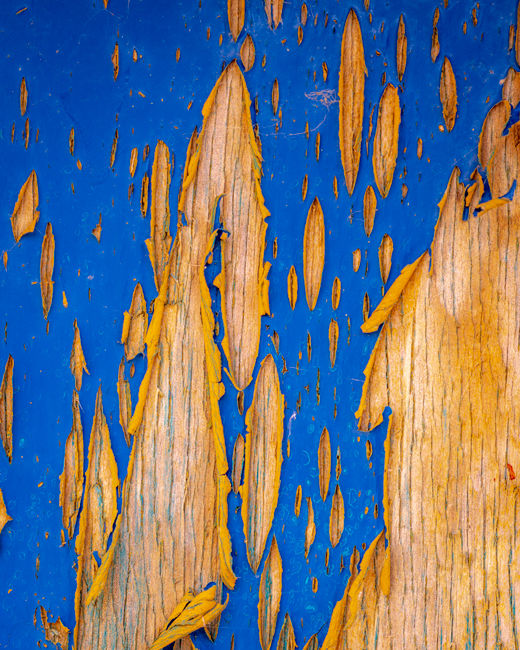 'Peeling Paint'