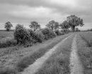 S 2017 05 27 0047 untitled-shoot-copy