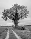 S 2017 05 27 0051 untitled-shoot-copy