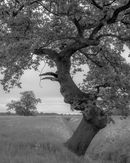 S 2017 05 27 0085 untitled-shoot-copy