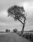 S 2017 05 27 0099 untitled-shoot-copy