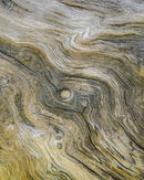 'Abstract #B'5'