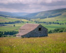 'Flowers and Barn'
