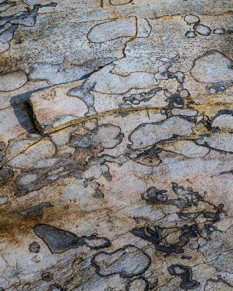 'Tolcher Log #1'