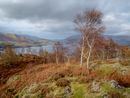 'Derwent Water from Shepherds Crag'