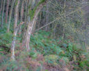 S 2017 11 11 0020 untitled-shoot-copy