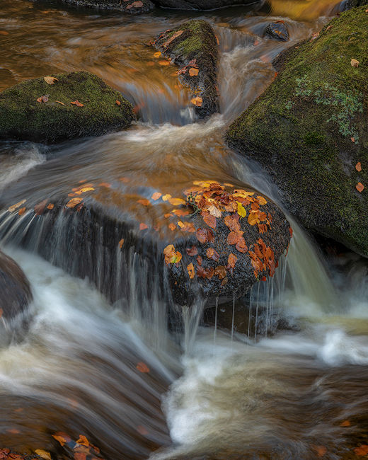 'River study in the Yorkshire Dales'