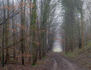 S 2017 12 22 0022 woldsz-Pano-copy