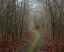 'Path to Nunbernholme'