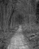'Millington path'