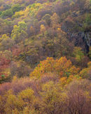 'Autumn at Kinlochleven'