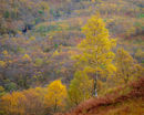 'Autumn at Kinlochleven'