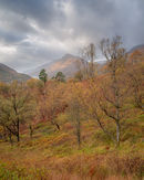 'Autumn at Kinlochleven'