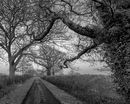S 2019 01 20 0036 rx1r-walk-Pano-copy