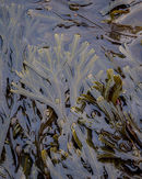 'Seaweed tree'